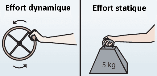 efforts dynamiques et statiques ergonomie