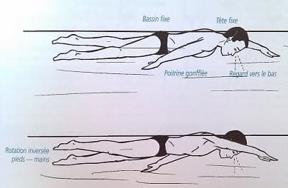 natation 2