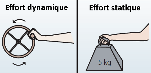 efforts efforts dynamiques et statiques ergonomie
