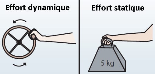 efforts dynamiques et statiques ergonomie